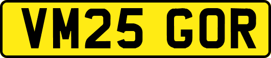 VM25GOR