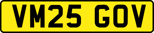 VM25GOV