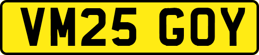 VM25GOY