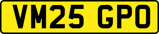 VM25GPO
