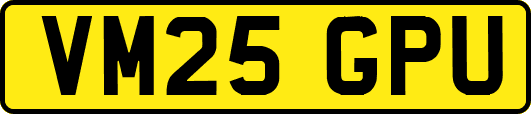 VM25GPU