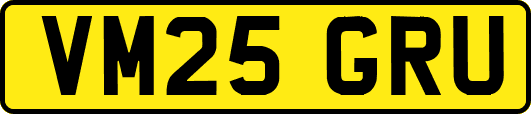 VM25GRU