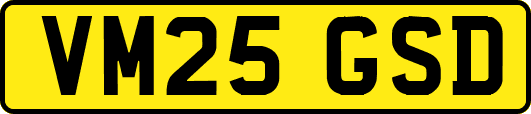 VM25GSD