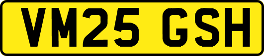 VM25GSH