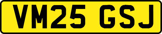 VM25GSJ