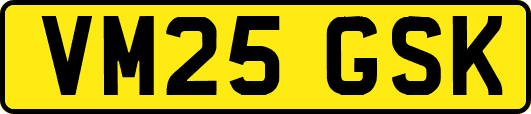 VM25GSK