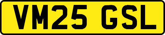VM25GSL