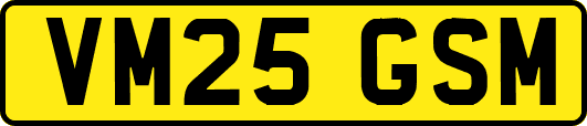 VM25GSM