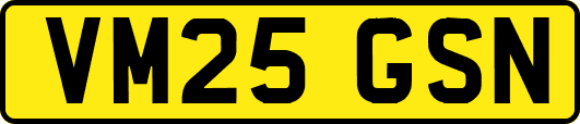 VM25GSN