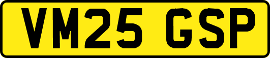 VM25GSP