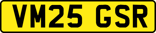 VM25GSR