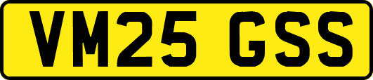 VM25GSS