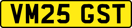 VM25GST