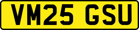 VM25GSU