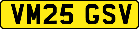 VM25GSV