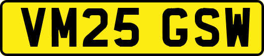 VM25GSW