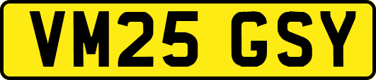 VM25GSY
