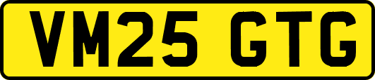 VM25GTG