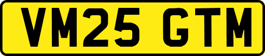 VM25GTM