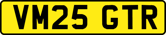 VM25GTR