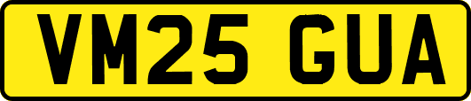 VM25GUA