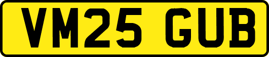 VM25GUB