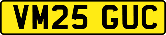VM25GUC
