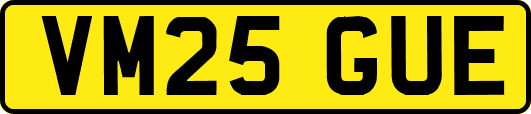 VM25GUE