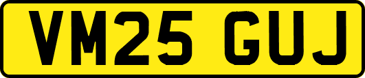 VM25GUJ