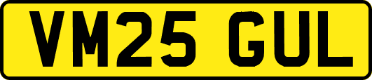VM25GUL
