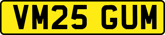 VM25GUM
