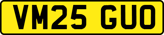 VM25GUO