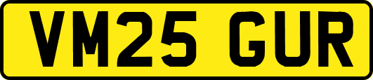 VM25GUR