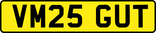 VM25GUT
