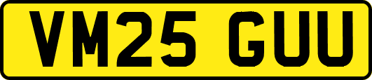 VM25GUU