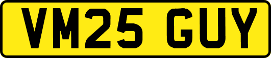 VM25GUY
