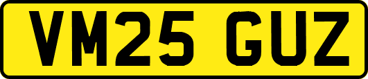 VM25GUZ
