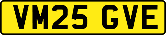 VM25GVE