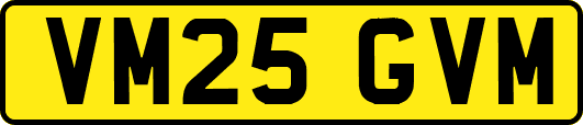 VM25GVM