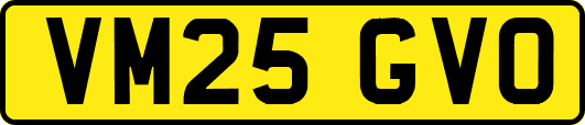 VM25GVO