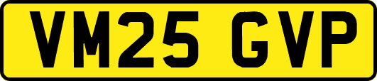 VM25GVP