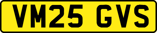 VM25GVS