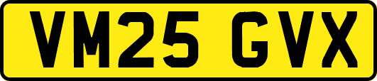 VM25GVX