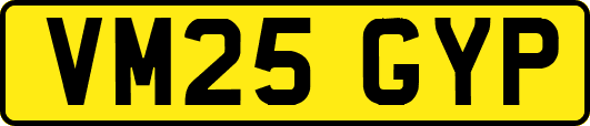 VM25GYP