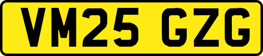 VM25GZG