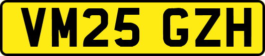 VM25GZH