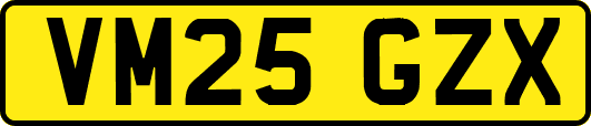 VM25GZX