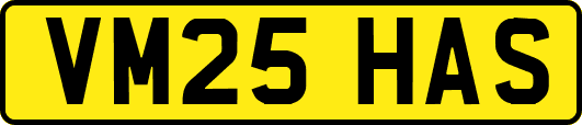 VM25HAS