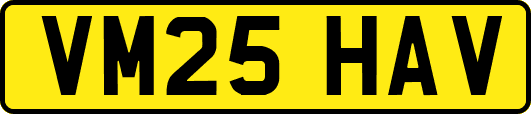 VM25HAV