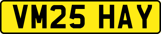 VM25HAY